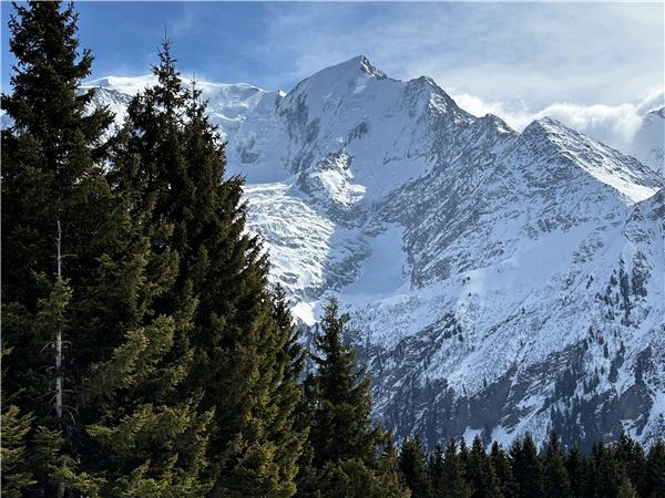 Snowshoeing in Chamonix holiday, self guided