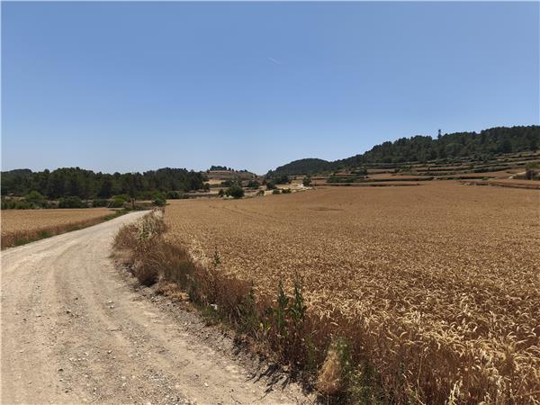 Self guided cycling in Catalonia, electric bike