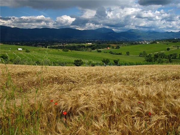 Self guided e biking in Umbria holiday
