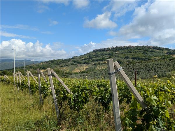 Cycling holiday in Umbria and Lazio by e bike