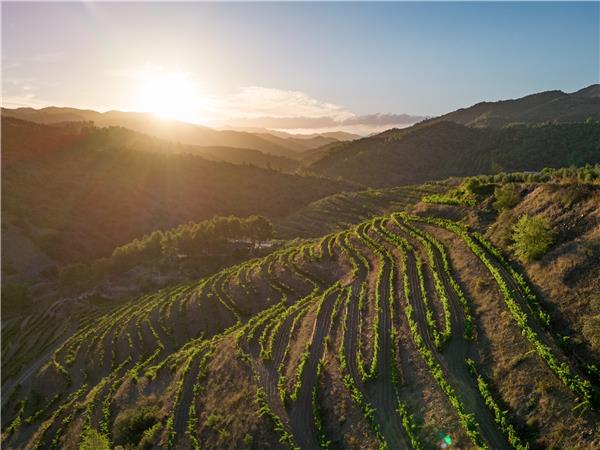 Walking in Catalonia, Priorat wine region