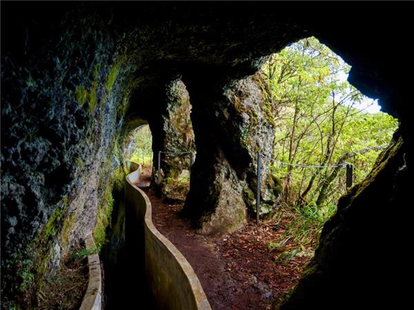 Hiking in Madeira holiday