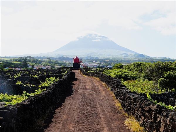 The Azores walking holiday, S�o Miguel, Pico and Faial