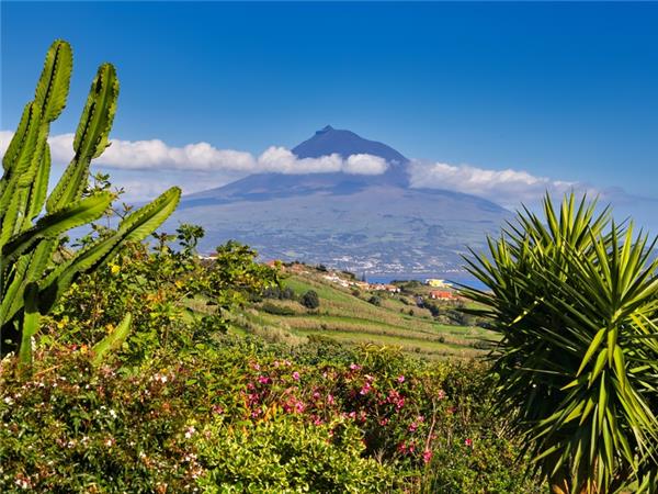 Walking on Pico and Faial Islands holiday, The Azores