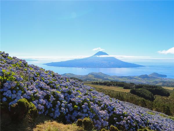 Walking on Pico and Faial Islands holiday, The Azores