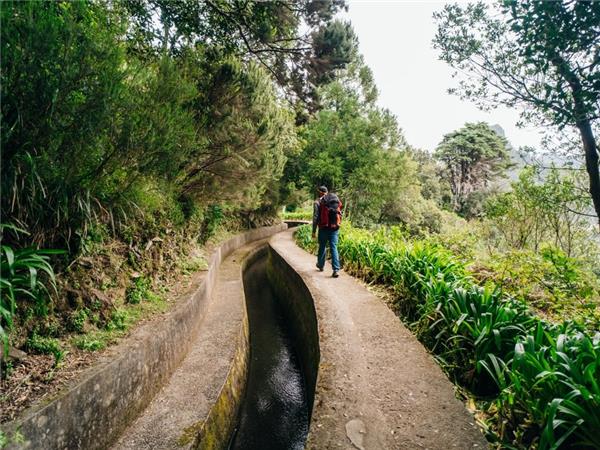 Walking in Madeira, centre based