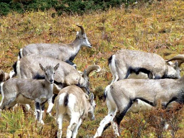 Trekking holiday in Bhutan