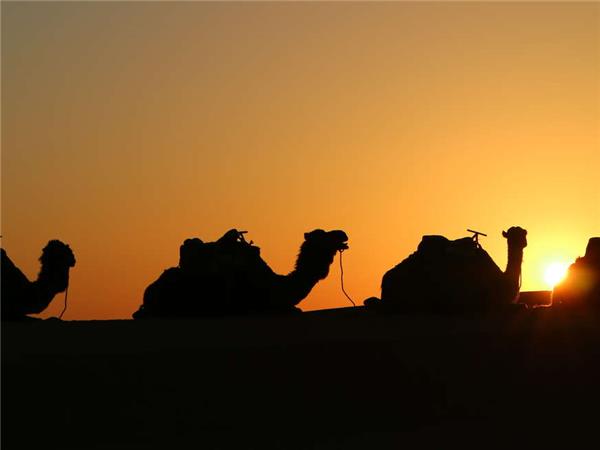Holiday in Morocco, Imperial cities & deserts