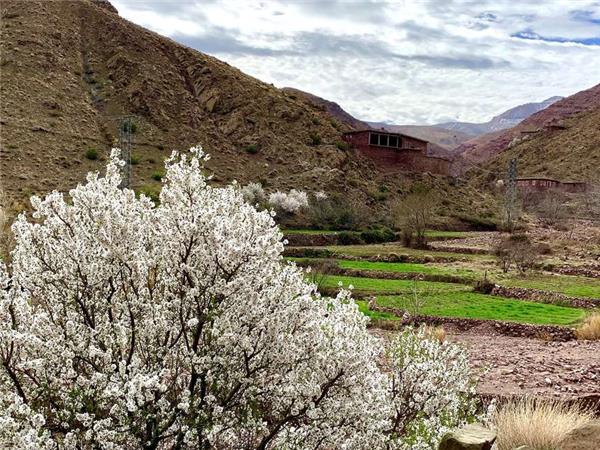 Cycling holiday in Morocco