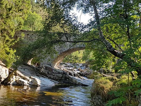 Women only retreat in the Cairngorms NP