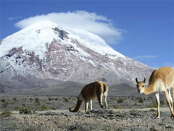 Ecuador holidays, Andes to Amazon