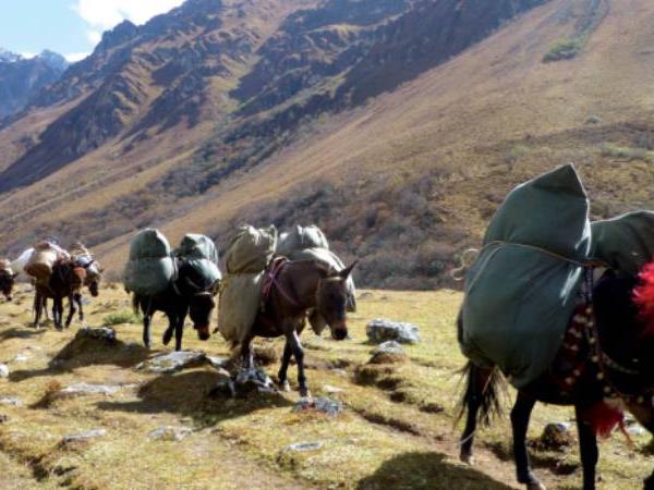 Trekking in Bhutan adventure holiday