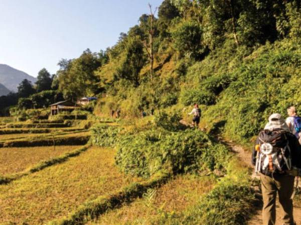 Nepal family holiday, walking in the Annapurnas