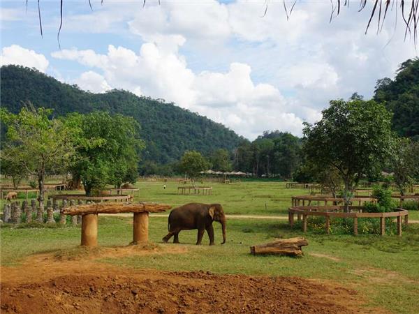 Thailand small group cultural holiday