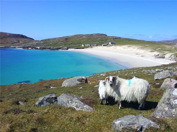 Outer Hebrides Mountain biking tour