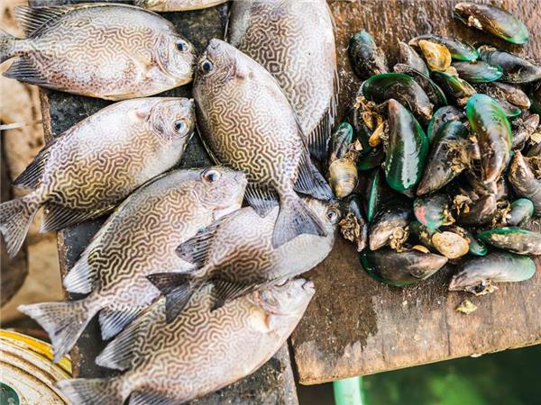 South India tour, Trivandrum to Goa