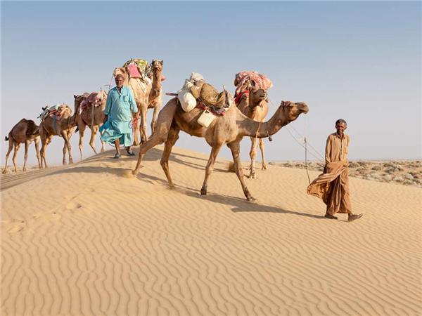 Rajasthan experience holiday