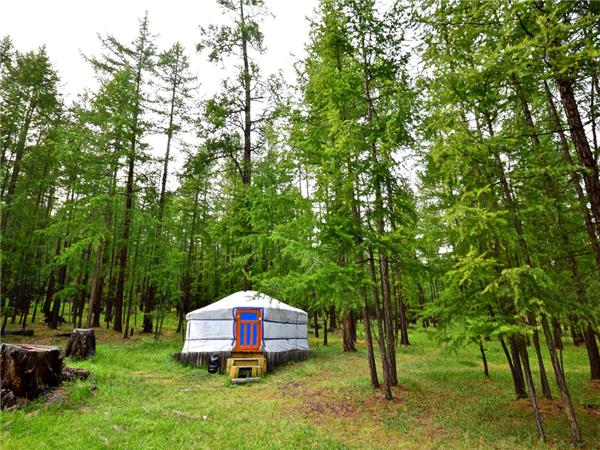Mongolia holidays