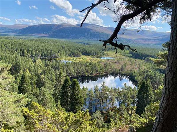Cairngorms & Royal Deeside walking holiday, Scotland