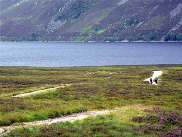 Cairngorms & Royal Deeside walking holiday, Scotland