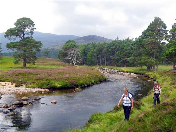 Cairngorms & Royal Deeside walking holiday, Scotland