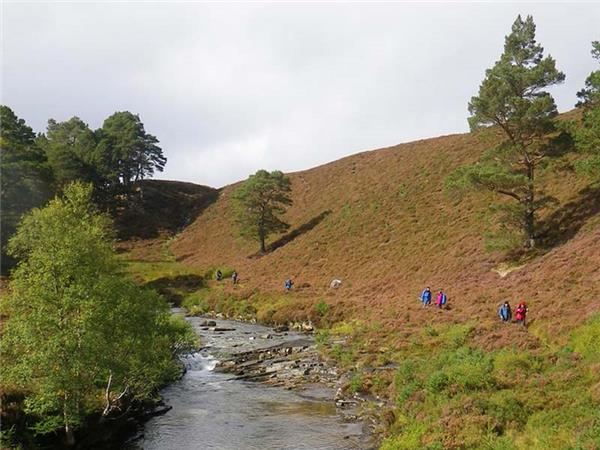 Cairngorms & Royal Deeside walking holiday, Scotland