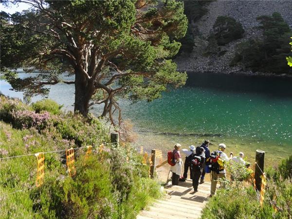 Cairngorms & Royal Deeside walking holiday, Scotland