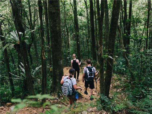 Sabah holiday, land beneath the wind