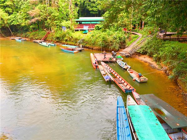 Sarawak wildlife & beach holiday