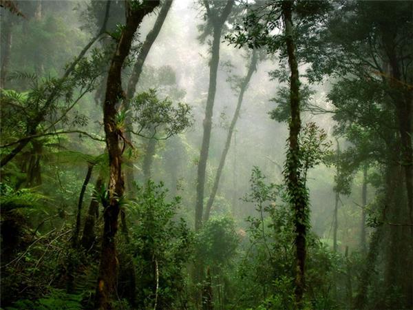 Borneo highlights tour, small group