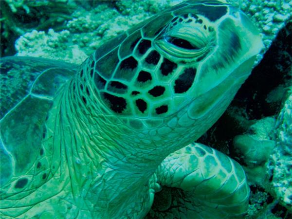 Borneo highlights tour, small group