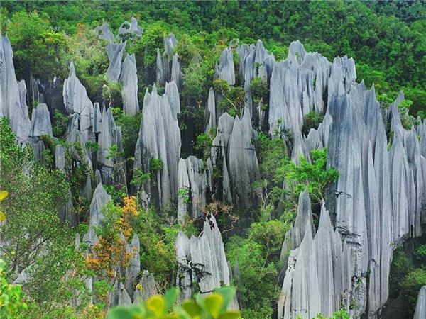 Borneo highlights tour, small group