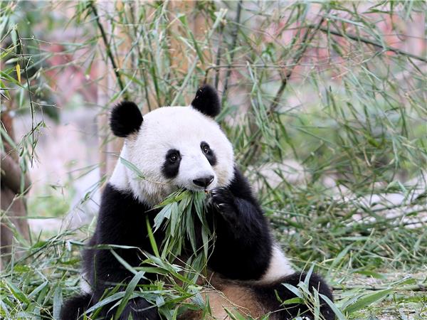 China highlights holiday