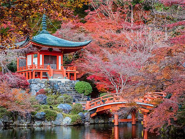 Japan holiday, ancient and modern