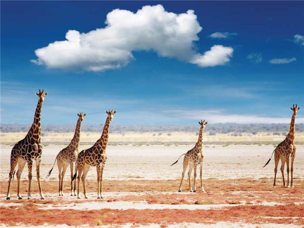 Namibia lodge safari holiday