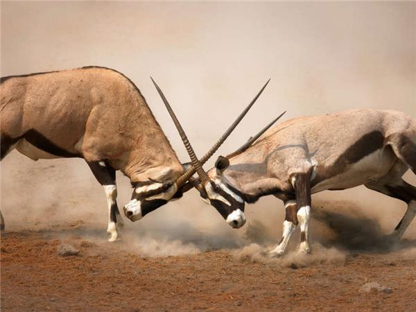 Namibia lodge safari holiday