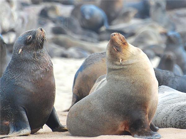 Namibia lodge safari holiday