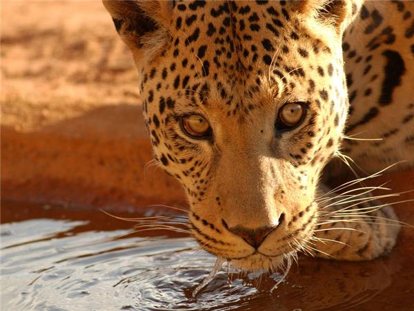 Namibia lodge safari holiday
