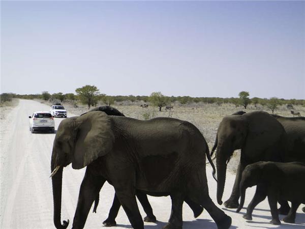 Namibia lodge safari holiday