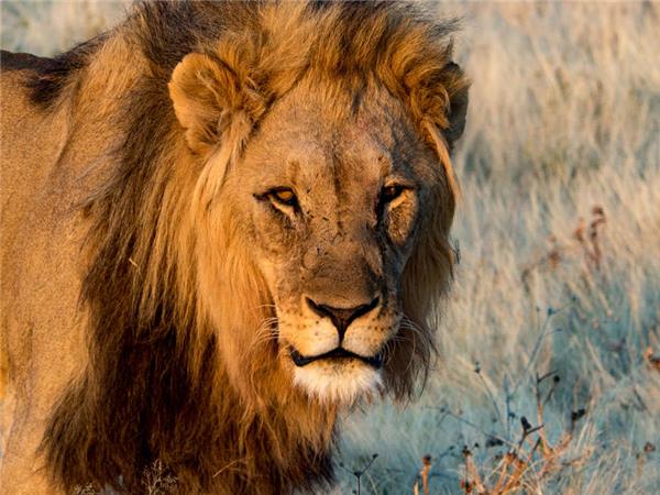 Namibia lodge safari holiday