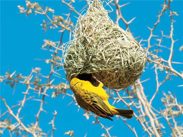 Namibia lodge safari holiday