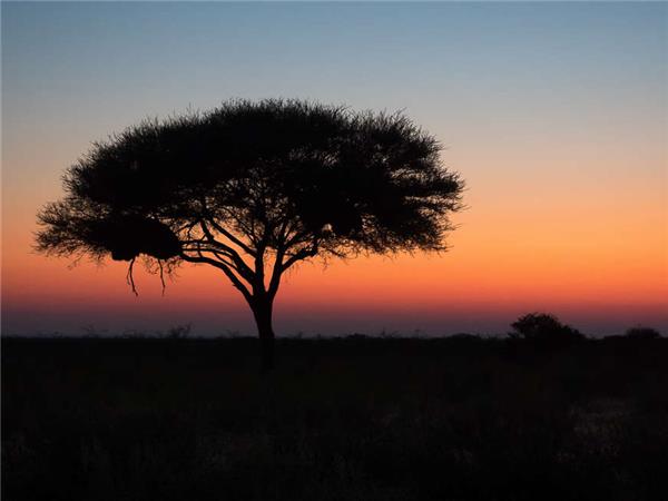 Namibia lodge safari holiday