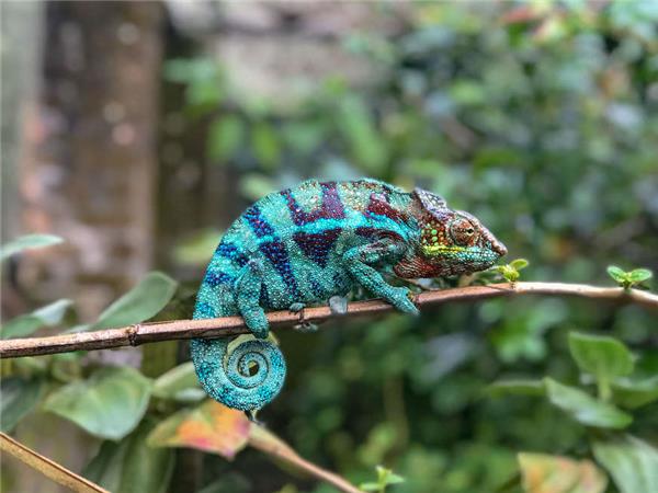 Madagascar wilderness trekking holiday