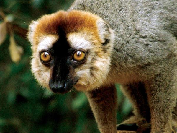 Madagascar wilderness trekking holiday
