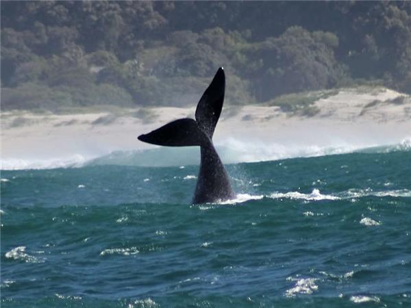 Family garden route holiday with safari, South Africa