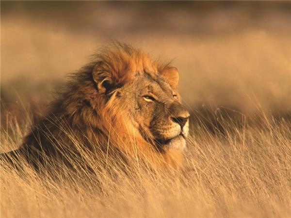 Family holiday to South Africa & Swaziland