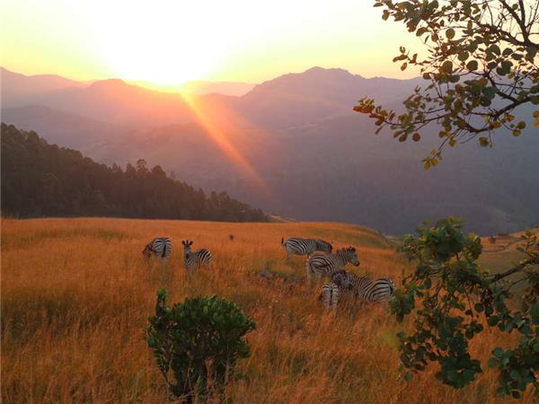 Family holiday to South Africa & Swaziland