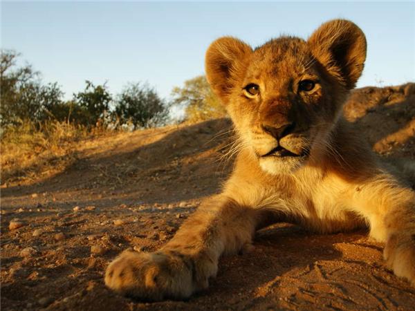 Family holiday to South Africa & Swaziland