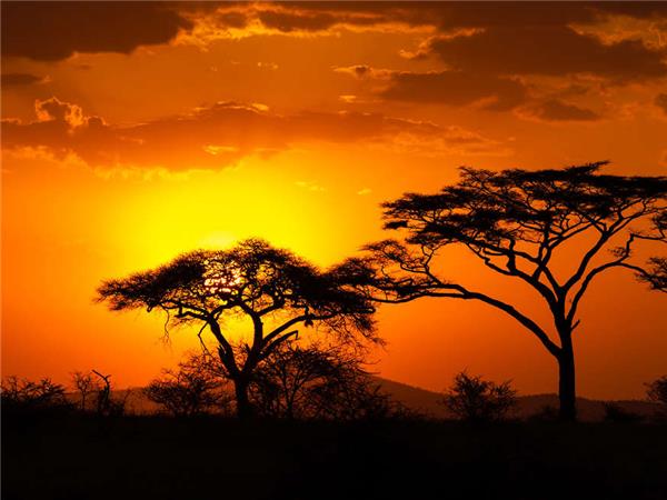 Family holiday to South Africa & Swaziland