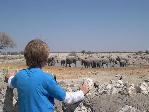 Family safari in Namibia